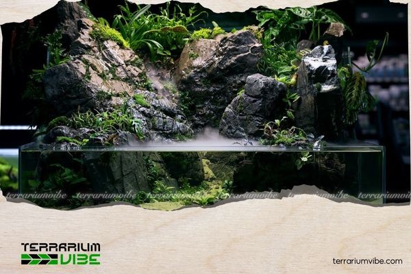 Vivarium được tạo ra như một hệ sinh thái 