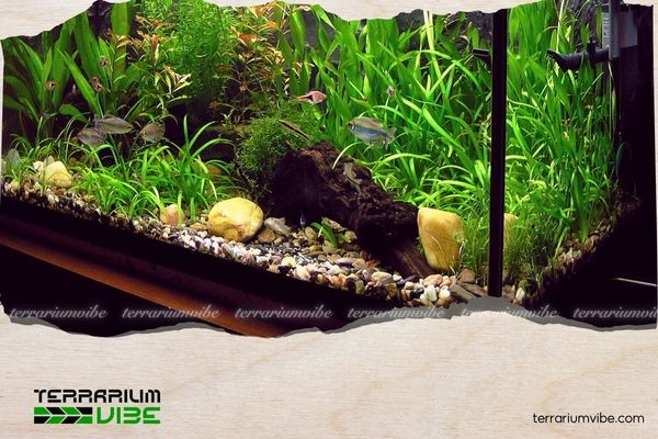 Vivarium gồm nhiều loại với các môi trường khác nhau