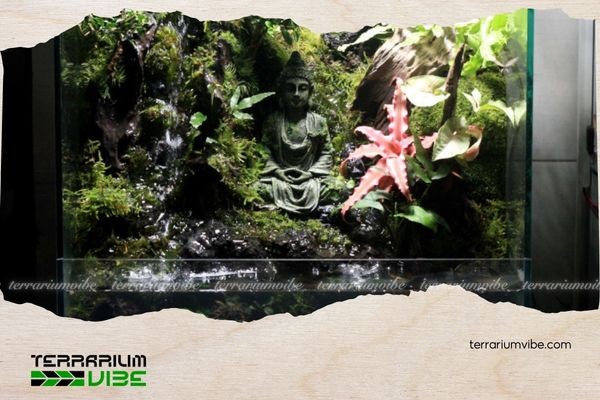 Để chăm sóc Vivarium cần chú ý đến các yếu tố môi trường sống