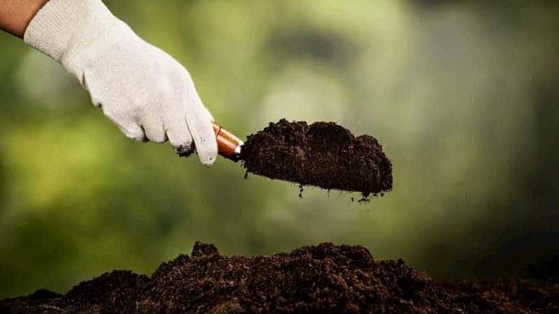 Lấp đất và nén đất chặt vừa phải