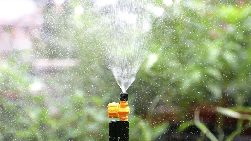 Tưới cây để tạo độ ẩm cho cây