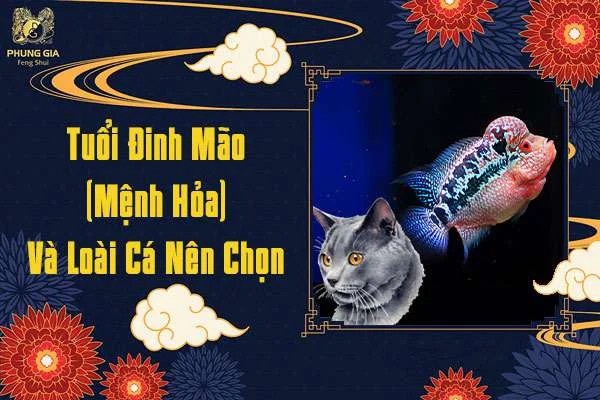21 tuoi dinh mao menh hoa va loai ca nen chonjpg 1