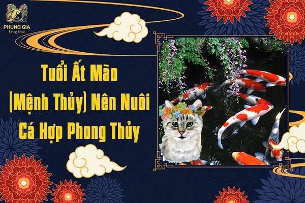 Tuổi Ất Mão Nuôi Cá Gì
