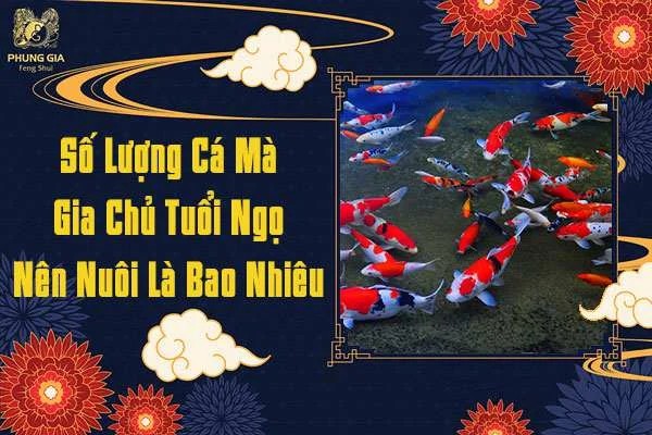 Số Lượng Cá Nên Nuôi Là Bao Nhiêu