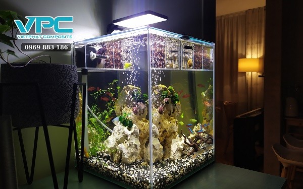 Hệ thống lọc và sục khí cho bể cá bảy màu