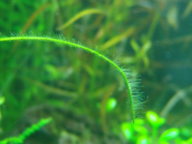 dsc011711