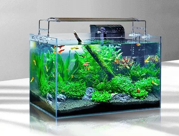 Hồ thủy sinh 60x40x40 kính trong