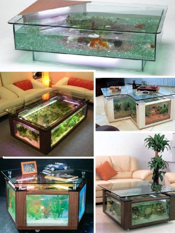 Nên chọn hồ cá hình gì