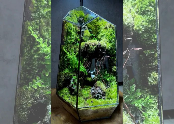 Cảnh quan terrarium với cây xanh và sỏi đá