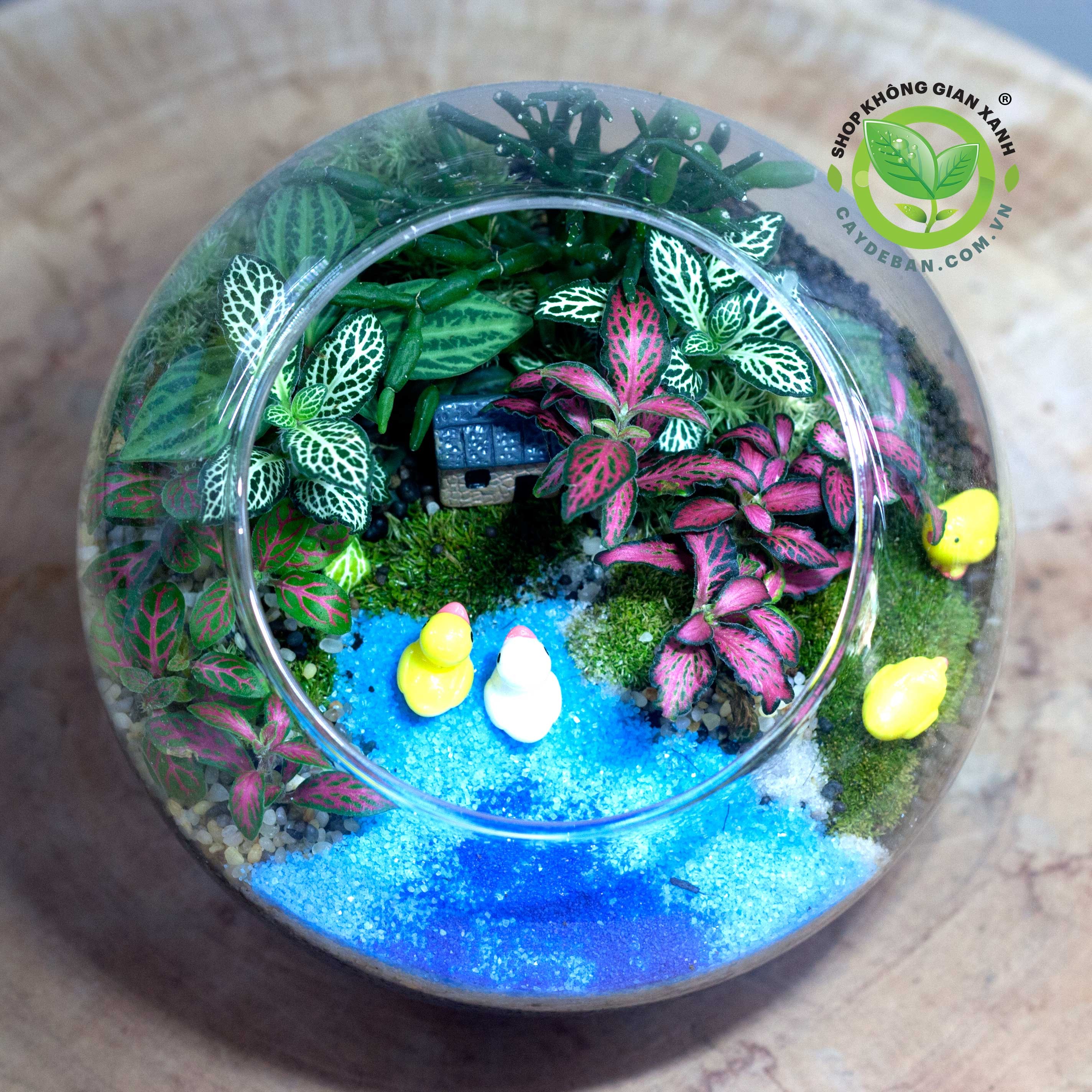 Một terrarium dạng cầu với cây xanh và đá trang trí