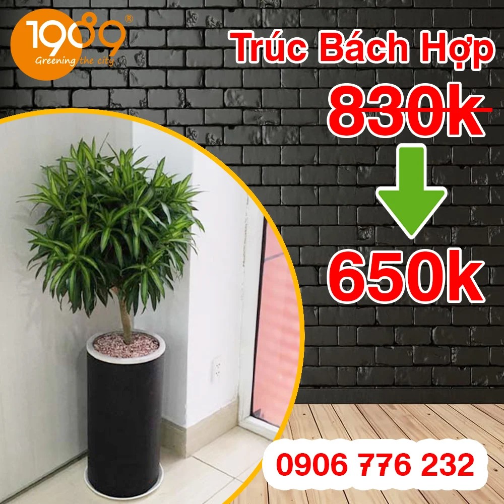 095605 truc bach hop 1