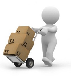 Cá cảnh khỏe mạnh chuẩn bị được vận chuyển