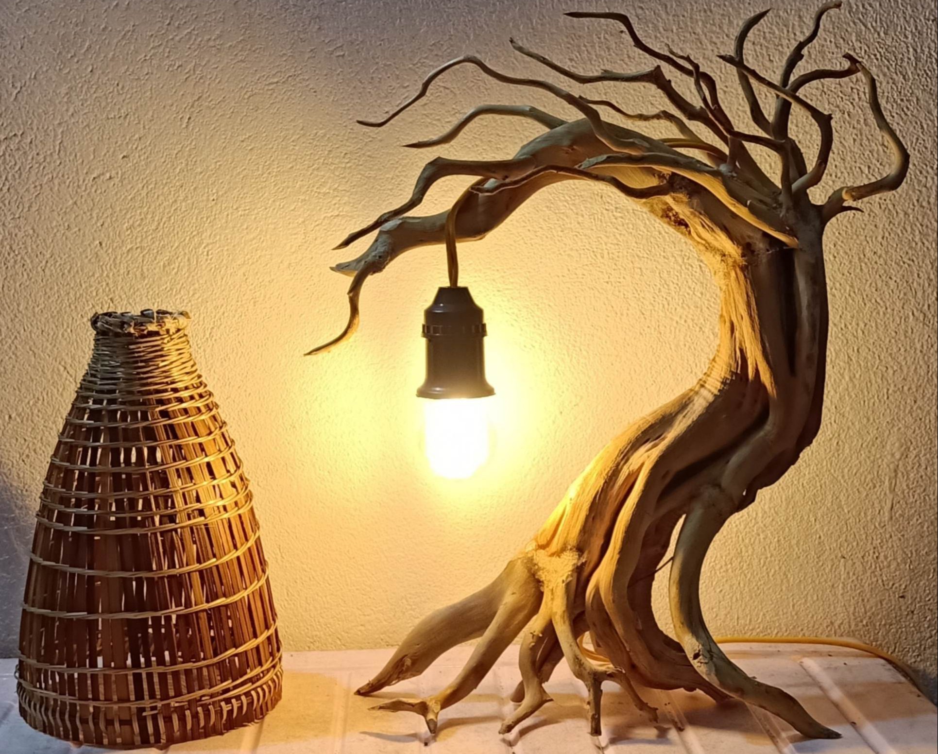 Sự biến đổi kỳ diệu của lũa thủy sinh