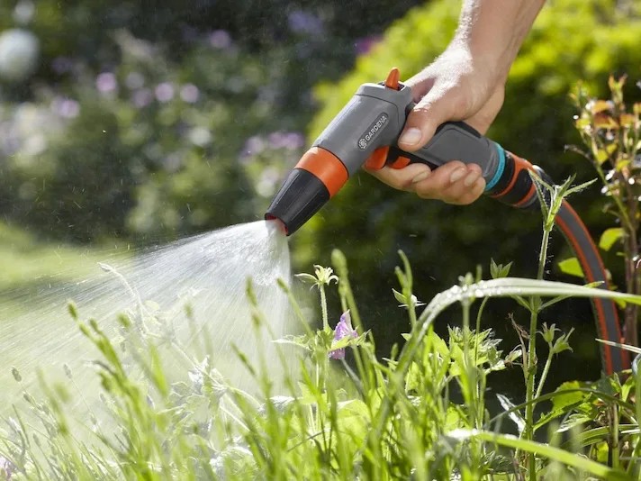 Hướng dẫn tưới nước cho cây cảnh đúng cách