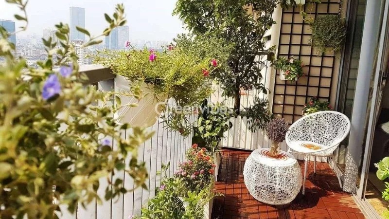 Ánh sáng là yếu tố quan trọng cho sự phát triển của cây trồng ban công - Greenvibes
