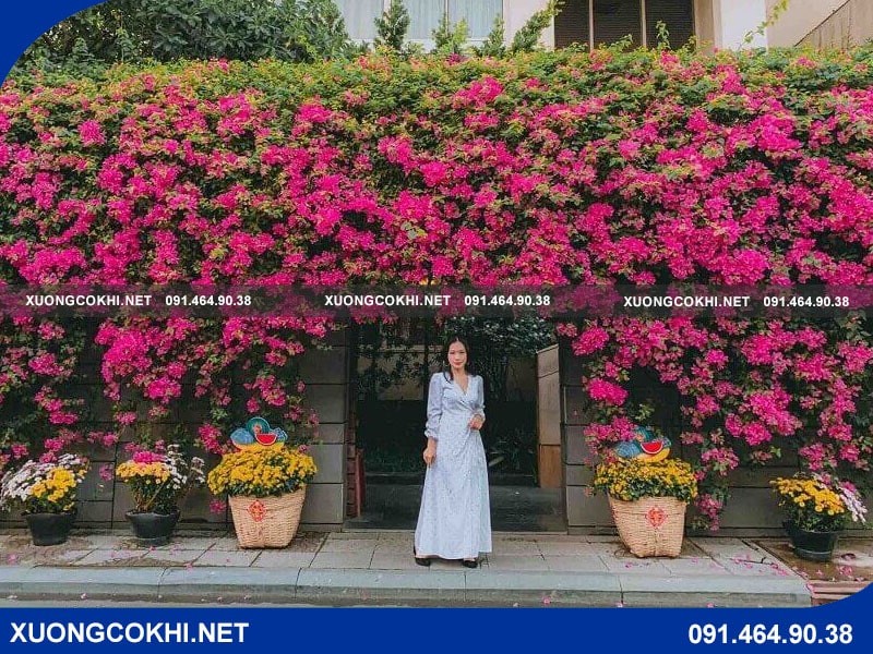 Mẫu cổng sắt hoa giấy nổi bật