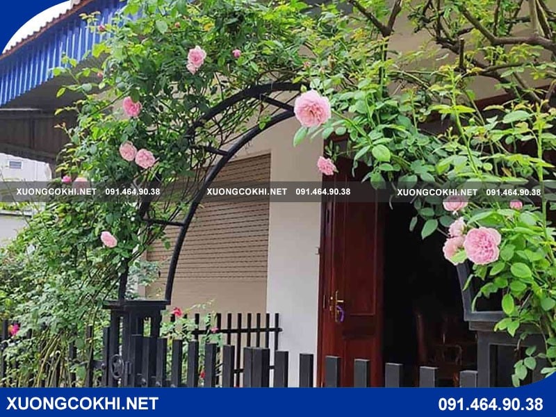 Mẫu cổng sắt hoa giấy ấn tượng