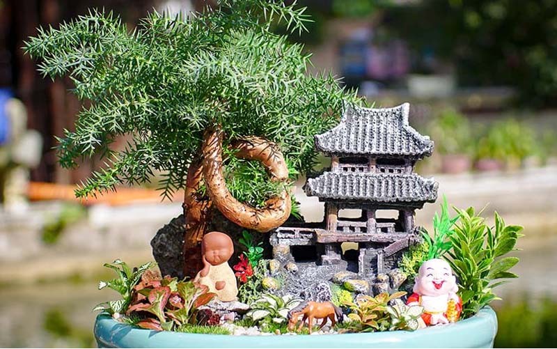 Cây Lan Ý mang lại sự thanh tao và may mắn cho người mệnh Thủy
