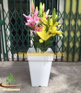 Chậu nhựa vuông 30x30x42