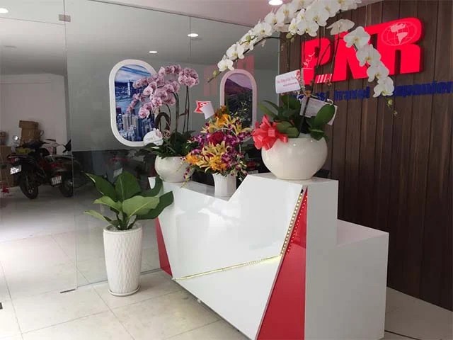 Dịch vụ cho thuê cây Đại Phú Gia của 1989 JSC, đáp ứng nhu cầu đa dạng.