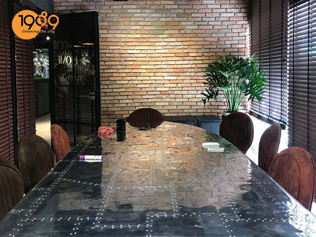 Chậu cây để sàn cao cấp Trầu Bà Thanh Xuân trong phòng họp