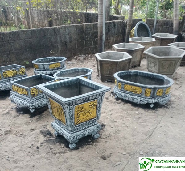 Đơn vị cung cấp chậu cây cảnh tại Hà nội