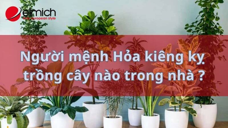 Hình 13: Cảnh báo về những loại cây mệnh Hỏa nên kiêng kỵ