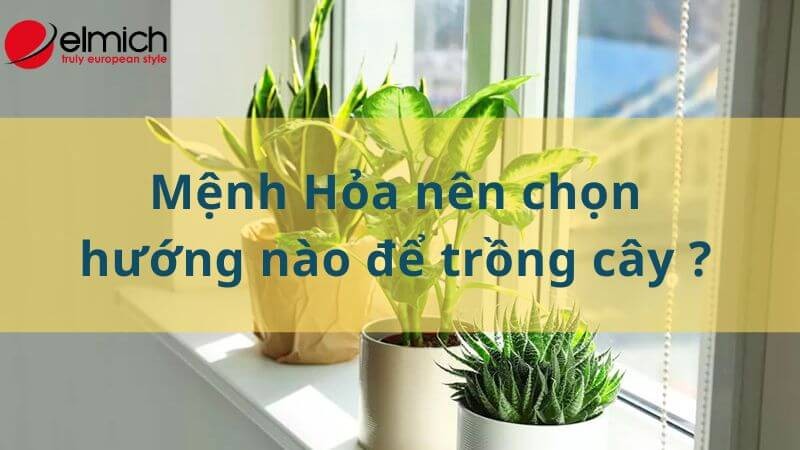 Hình 14: Hướng đặt cây phong thủy cho người mệnh Hỏa