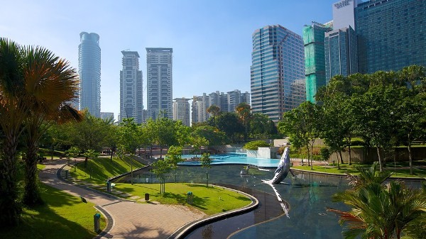 loiichcayxanh6 1