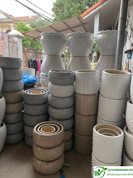 Lựa chọn chậu cảnh theo màu sắc phù hợp với mệnh