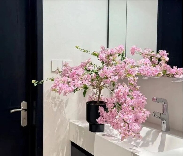 Hoa giấy tô điểm cho không gian phòng tắm thêm sinh động.