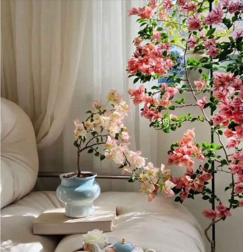 Trang trí phòng khách với chậu hoa giấy trên sofa, tạo góc thư giãn lý tưởng.