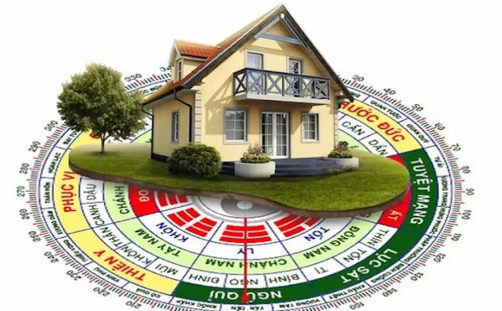 Cây Ngọc Lan có tán lá xanh tươi, mang lại sinh khí cho ngôi nhà