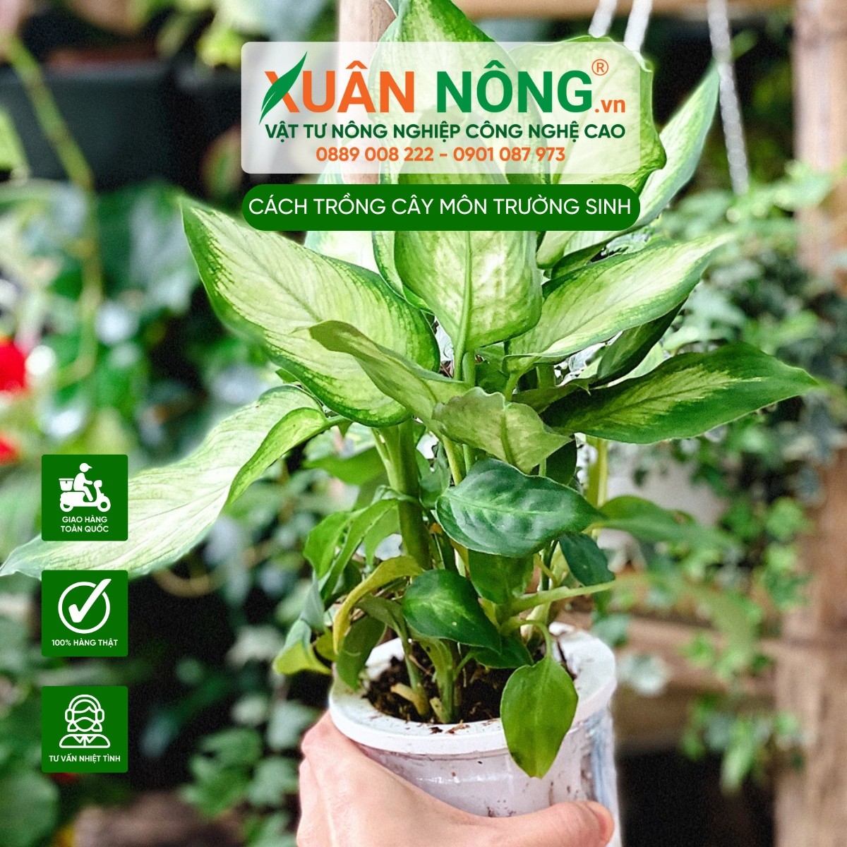 Ánh sáng