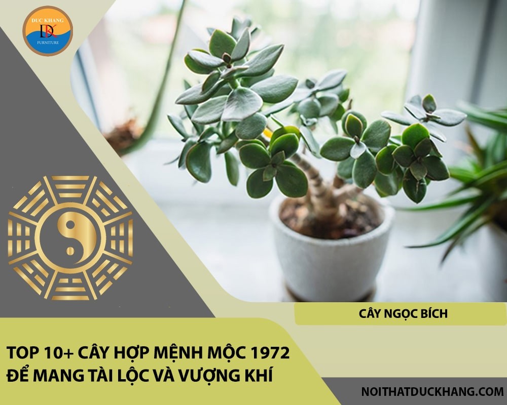 Cây Ngọc Bích mang ý nghĩa bình an và trường thọ.