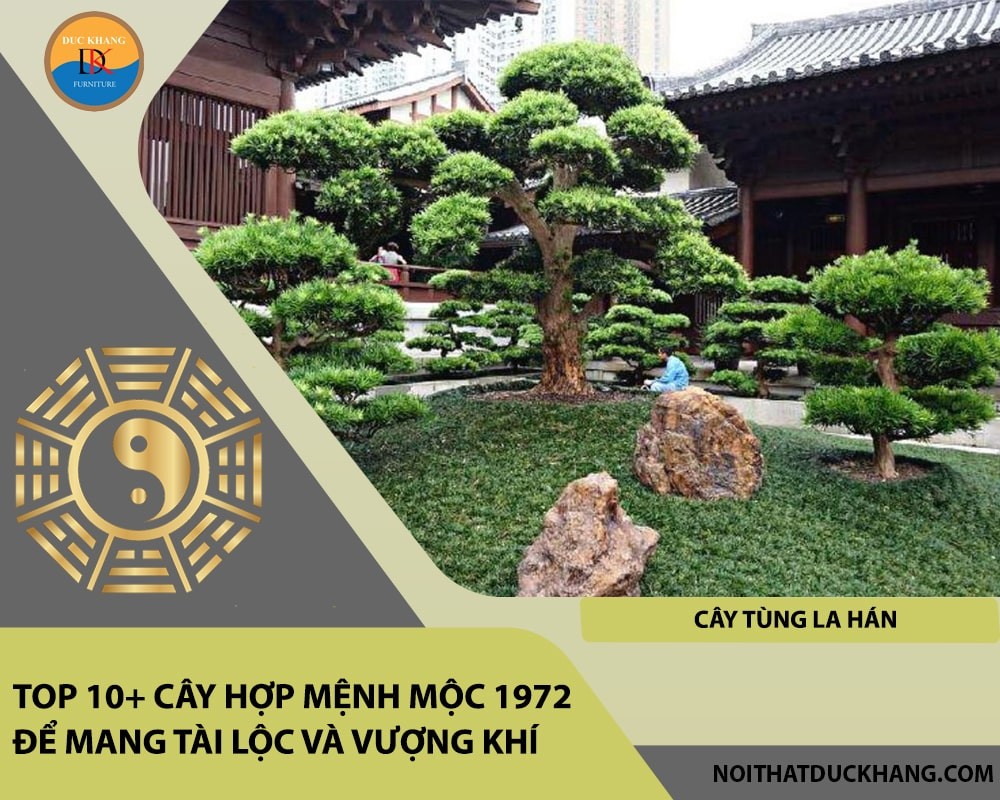 Cây Tùng La Hán biểu trưng cho sức khỏe và sự trường tồn.