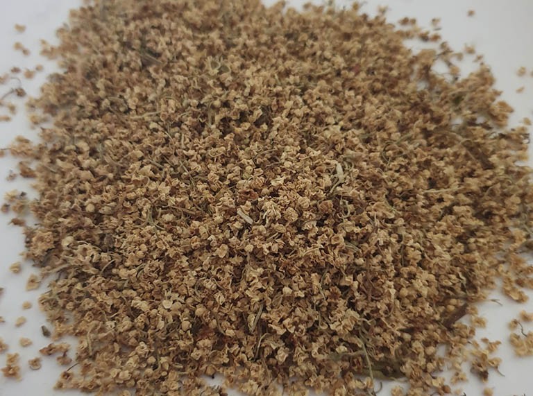Cây thuốc mọi trị bệnh gì