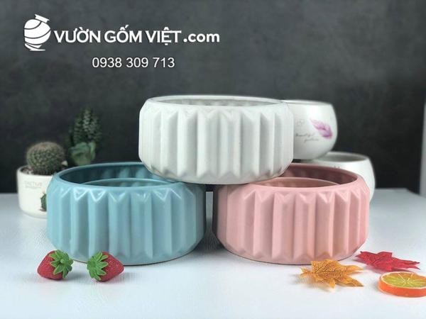 Nhiều chậu cây cảnh nhỏ gốm sứ được trưng bày tại cửa hàng