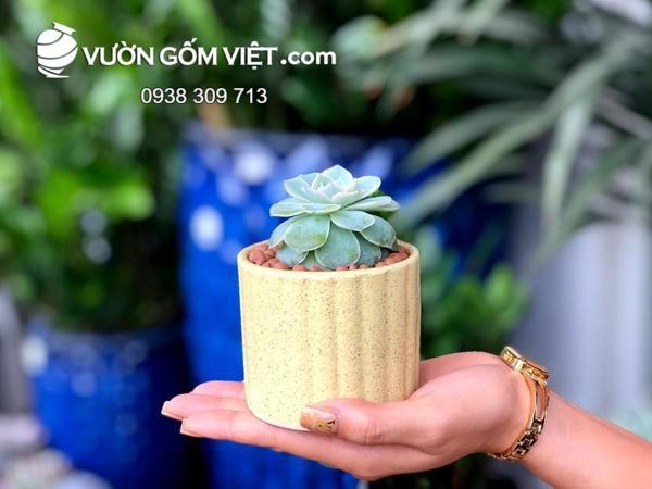 Chậu cây cảnh nhỏ gốm sứ có lỗ thoát nước ở đáy