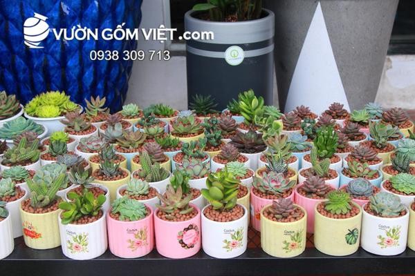 Chậu cây cảnh nhỏ gốm sứ thủ công tinh xảo