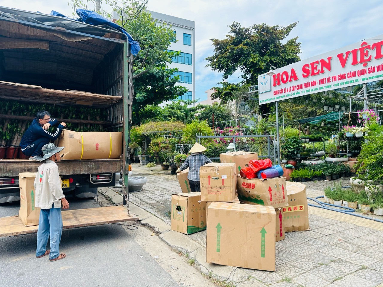 Cửa hàng cây cảnh Hoa Sen Việt tại Đà Nẵng