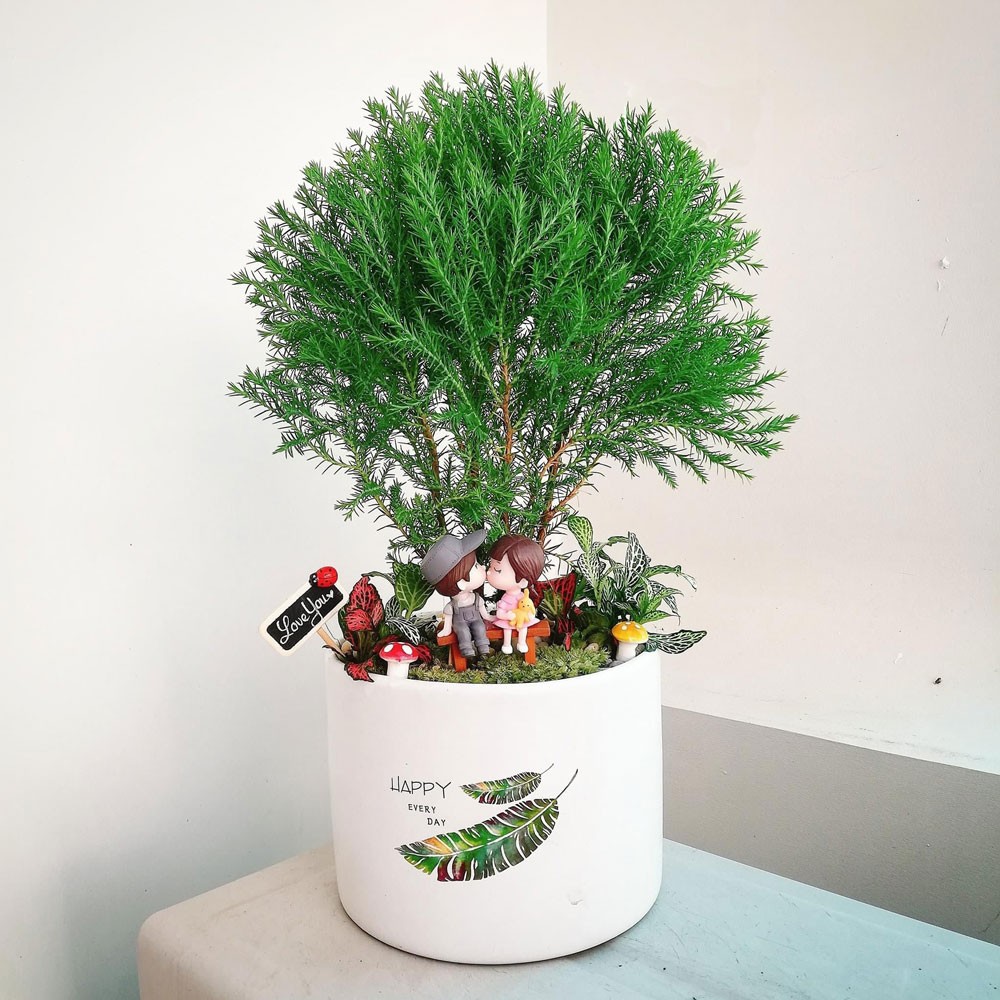 Cây kim tiền với mong ước tài lộc dồi dào