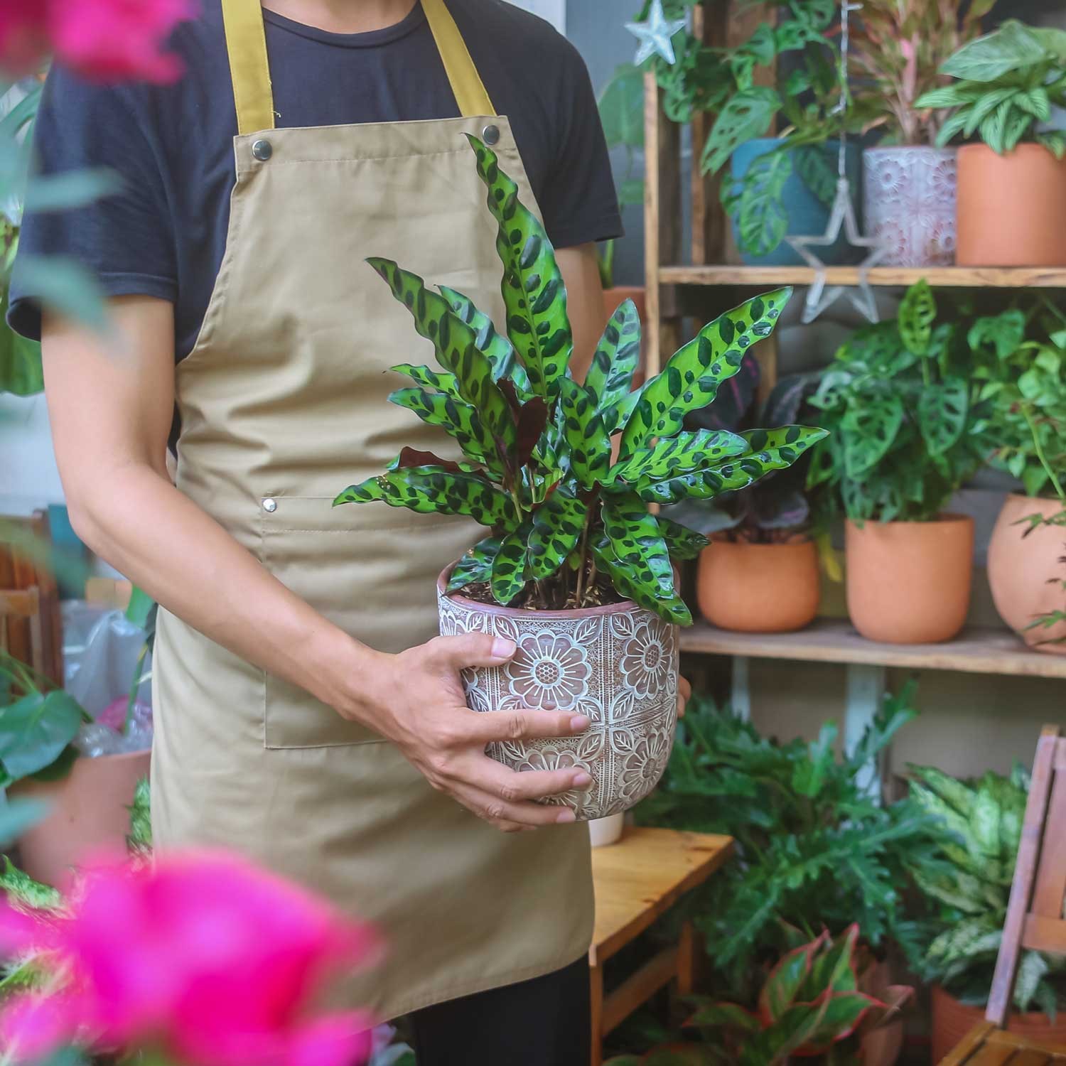Vườn cây xanh tươi tốt tại MOW Garden.